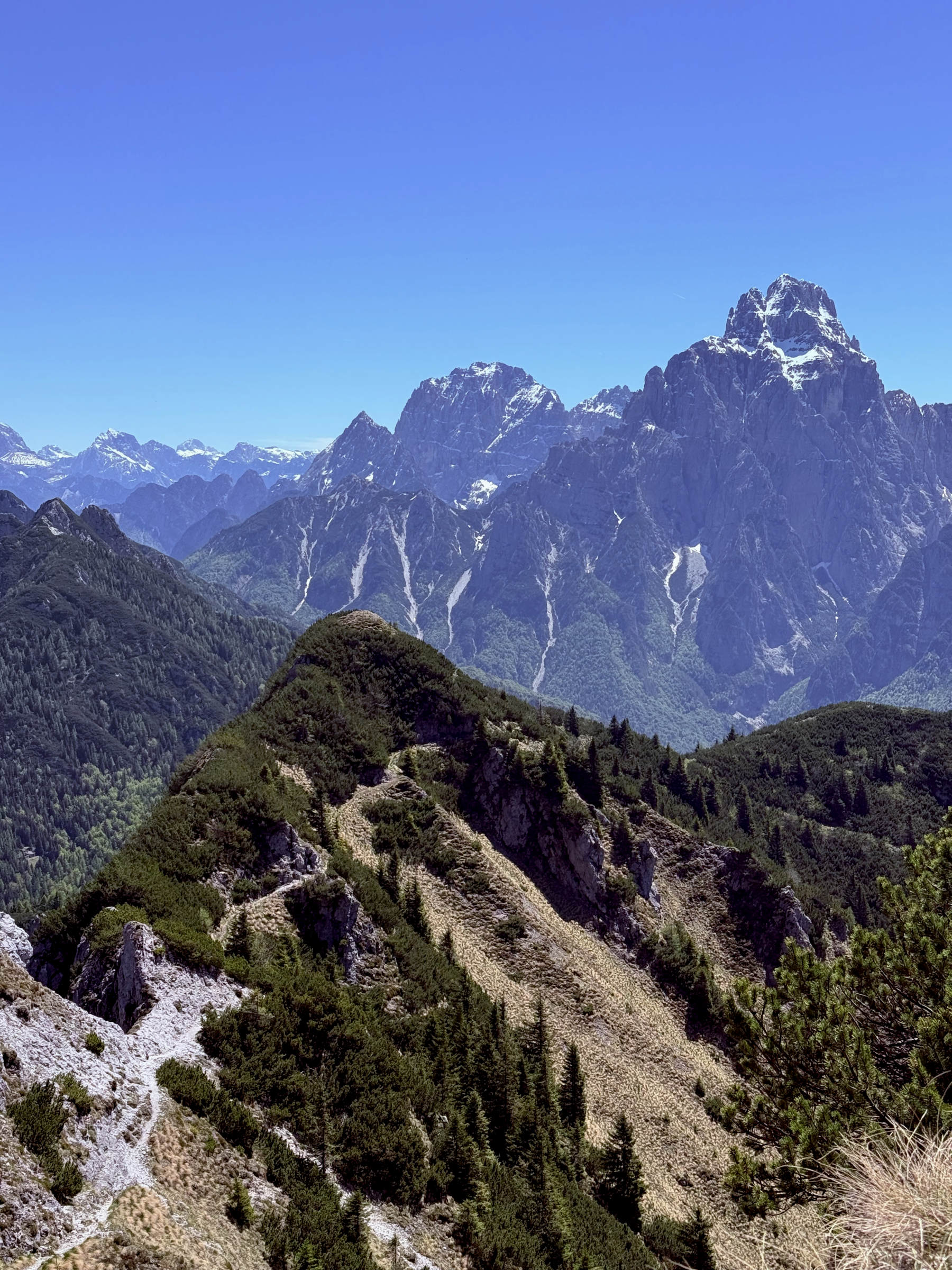 Vista dalla cima lungo il tratto tra il km 2 e il km 3 dell’anello del Monte Schenone