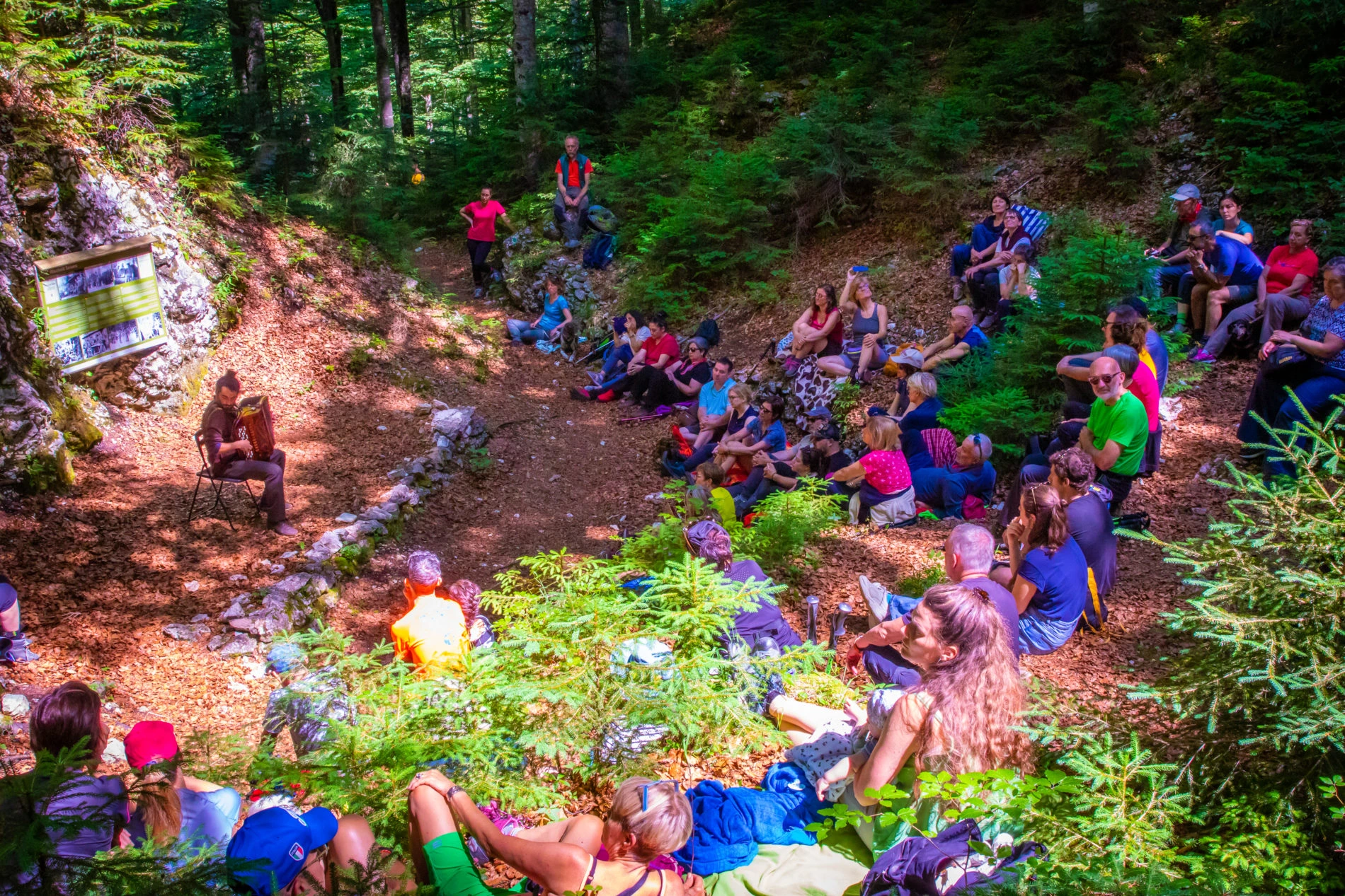 Forest Sound Track — Quartetto di Bamberga in Val Saisera