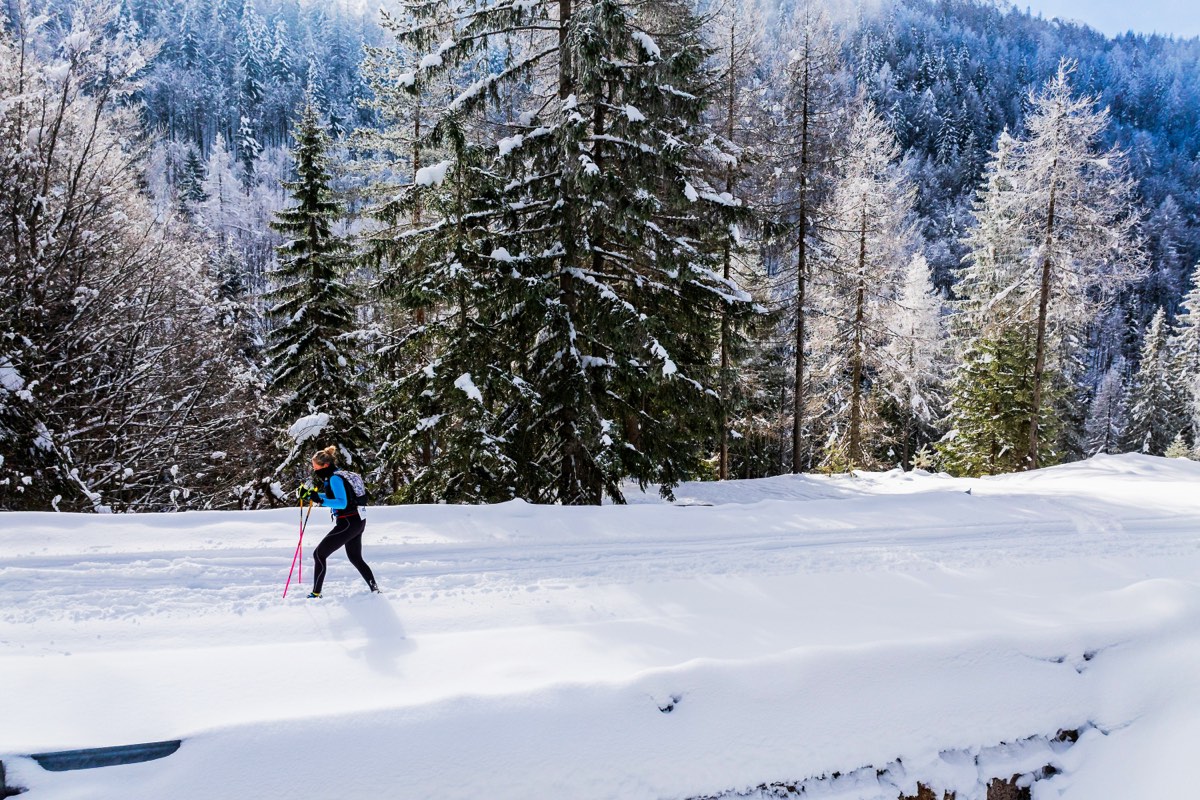 Alpe Adria Ultra Trail — Inverno